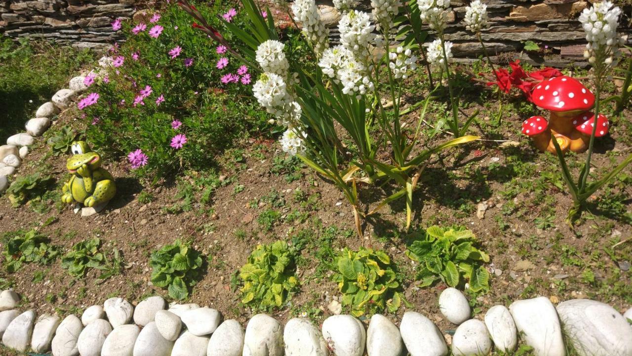 Vivienda De Uso Turistico Carballo Blanco 1 Barral Kültér fotó